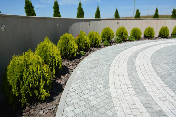 Best Concrete Paver Driveway  in Watchung, NJ